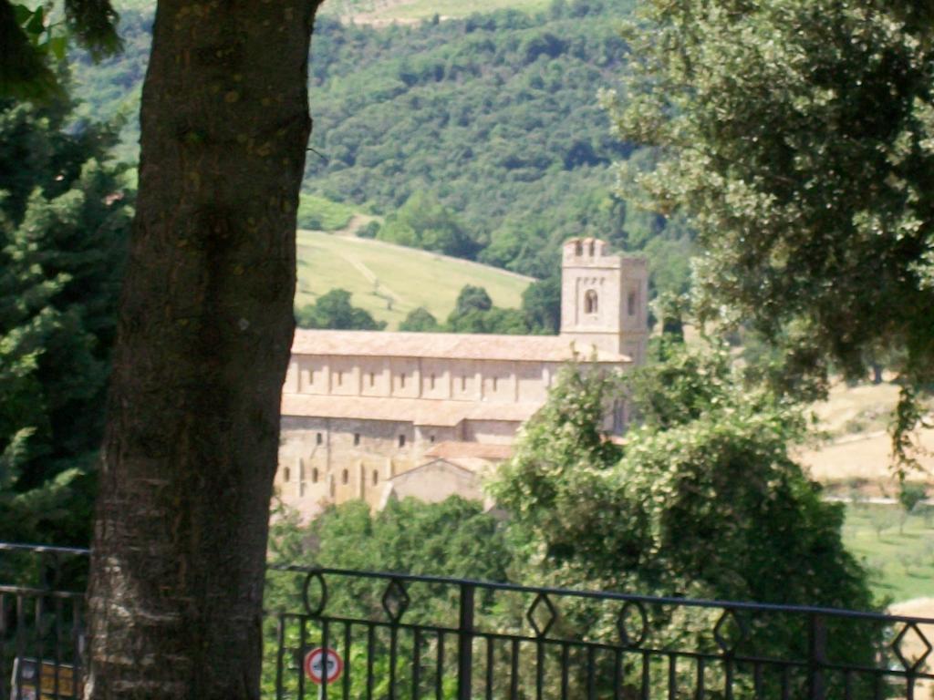 B&B Locanda Sant'Antimo Montalcino Eksteriør bilde